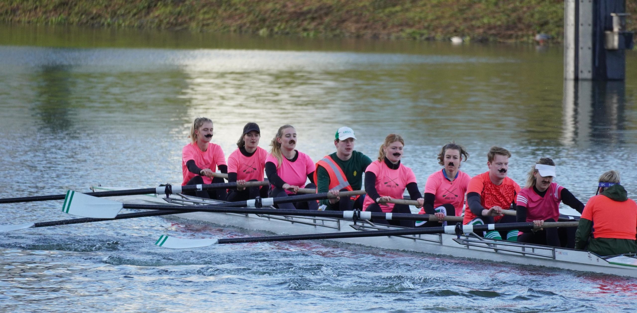 「口ひげ」とのさらなる関連性