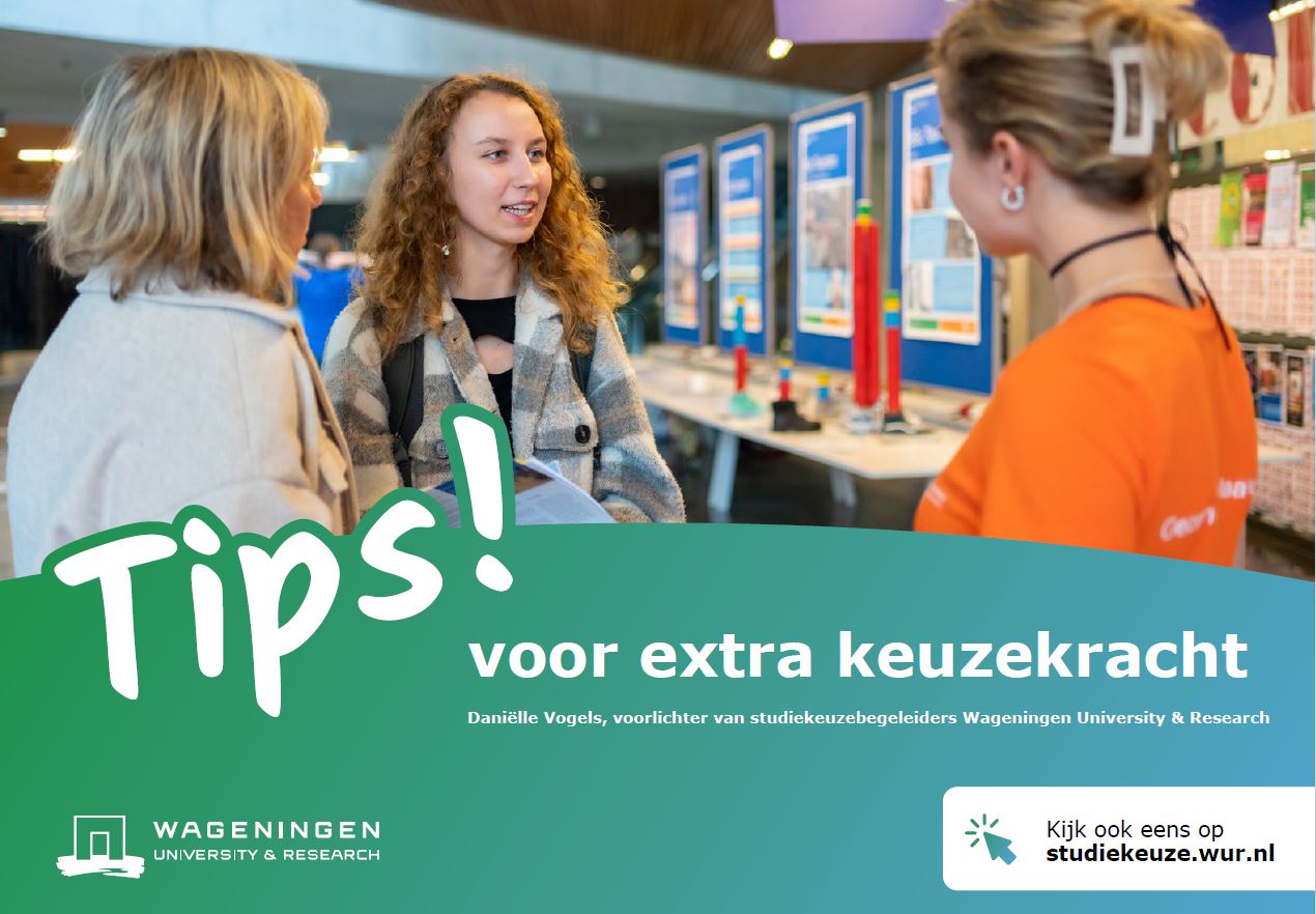 ダミーのための「選択をする」