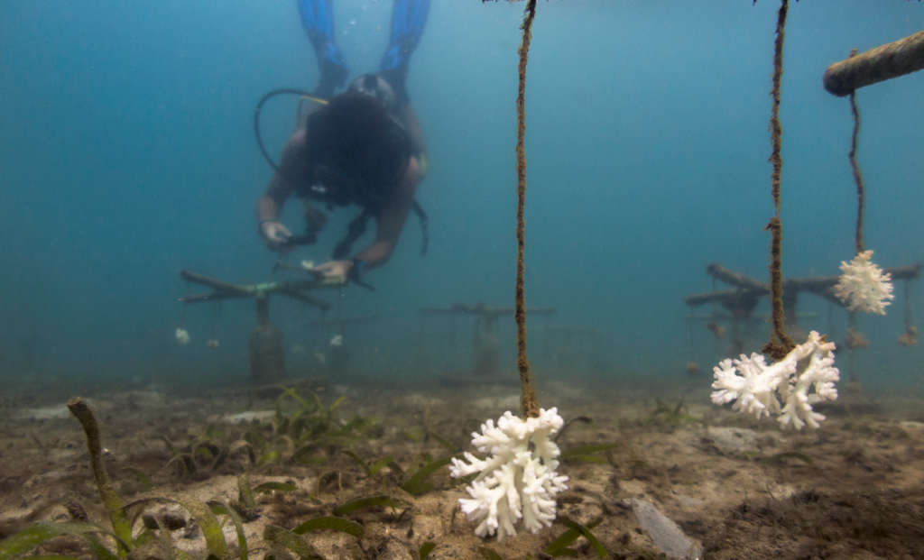 (デ・ノイス) WUR、気候研究を廃止