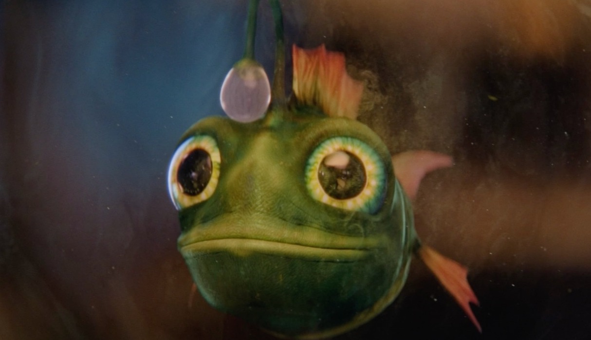 ロケ魚と自然の魔法がイベルドローラのクリスマス広告に登場