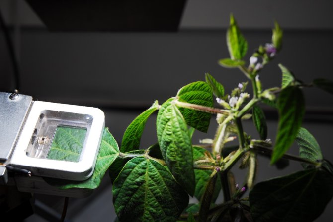 日陰で光を集める