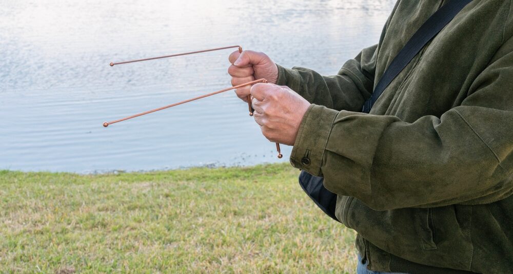 物議を醸す選択によるストレップ