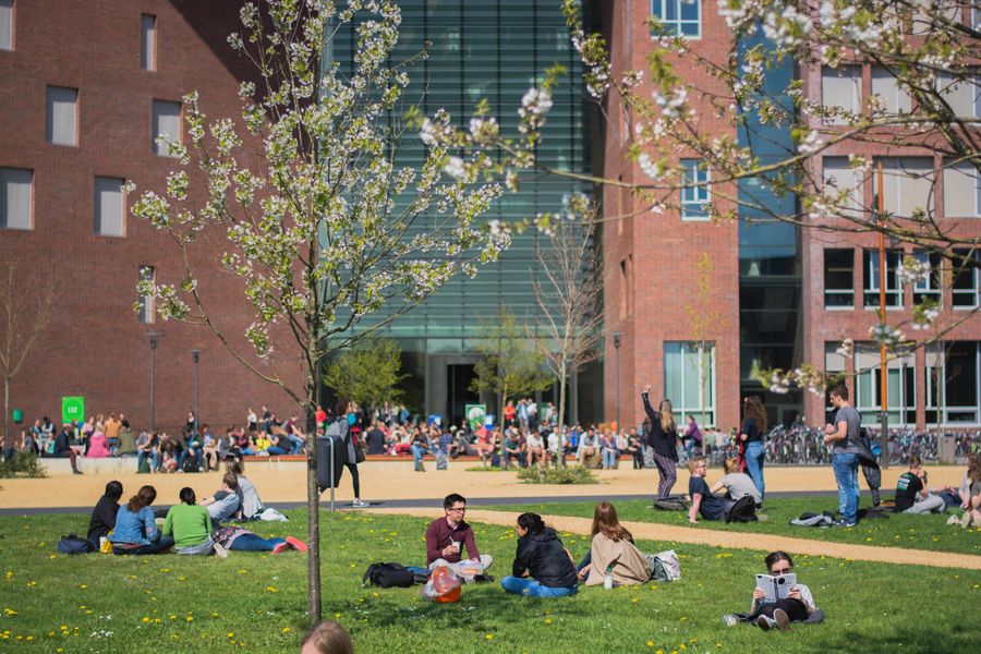 Studenten in het gras bij Forum.