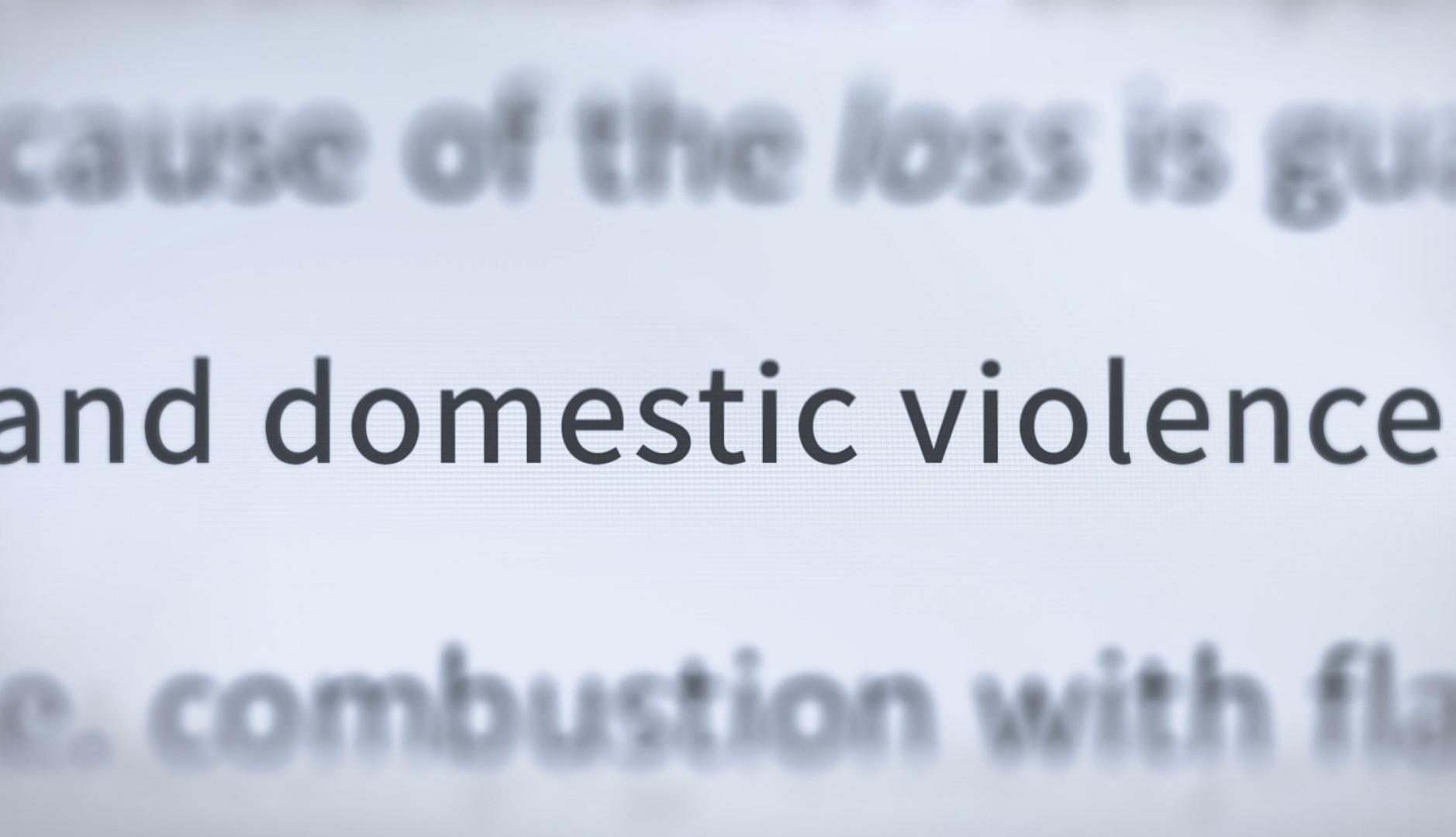 Frase "and domestic violence"