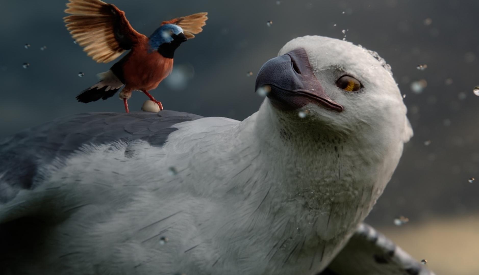 dos aves volando que se miran