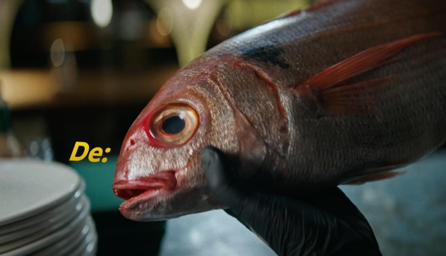 una imagen de un pez sostenido por una mano con guante de latex negro