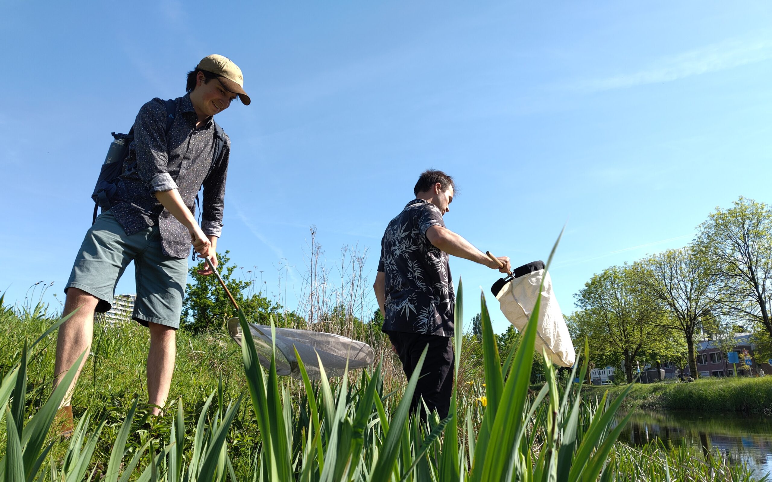 種の狩猟シーズンは開いています