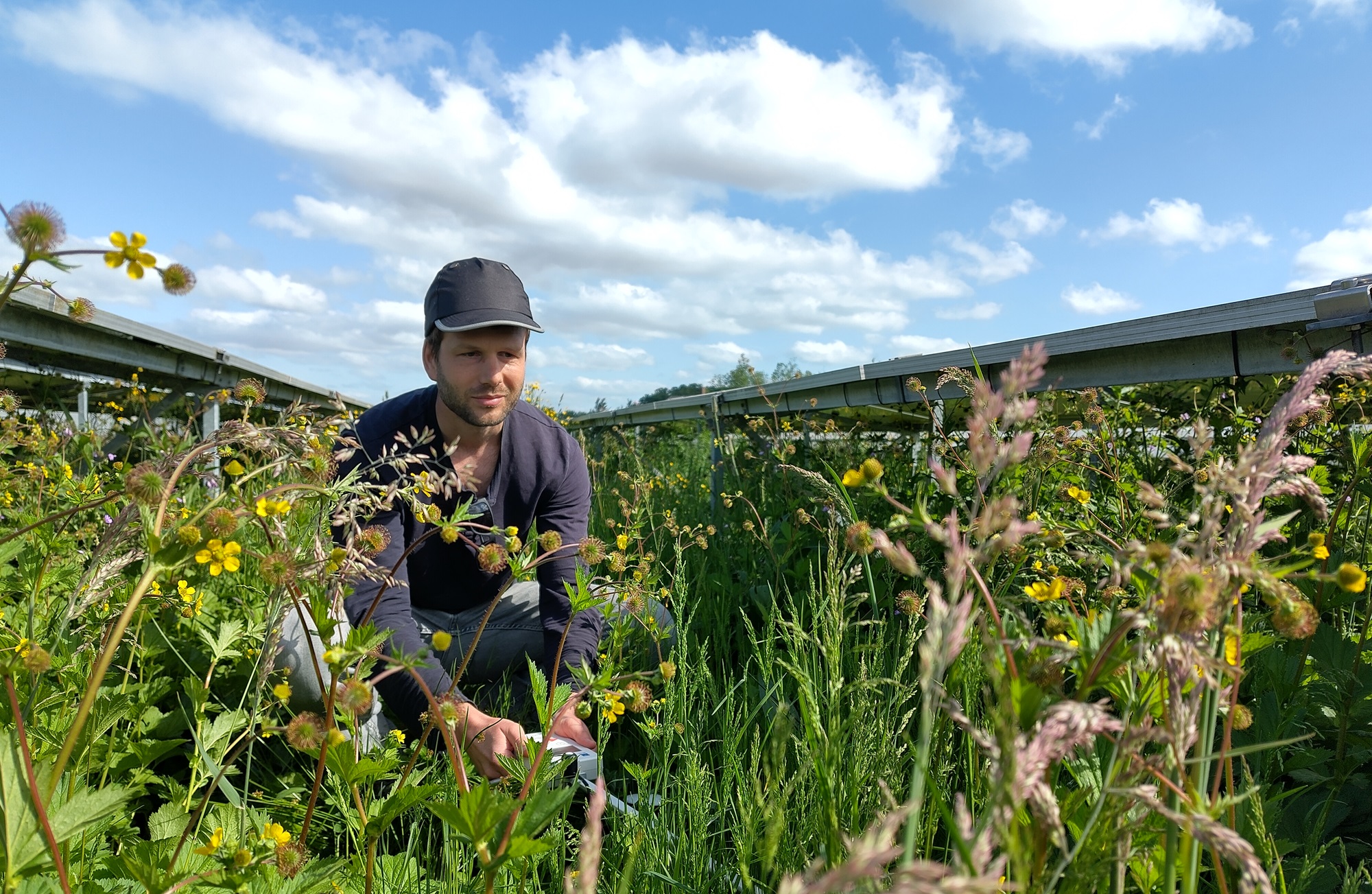 ソーラーパークはどのくらいの色合いを扱うことができますか？