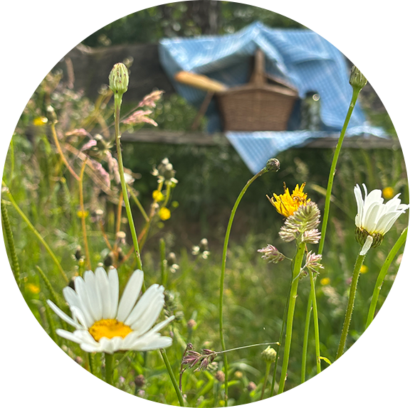 キャンパスで最高のピクニックスポット