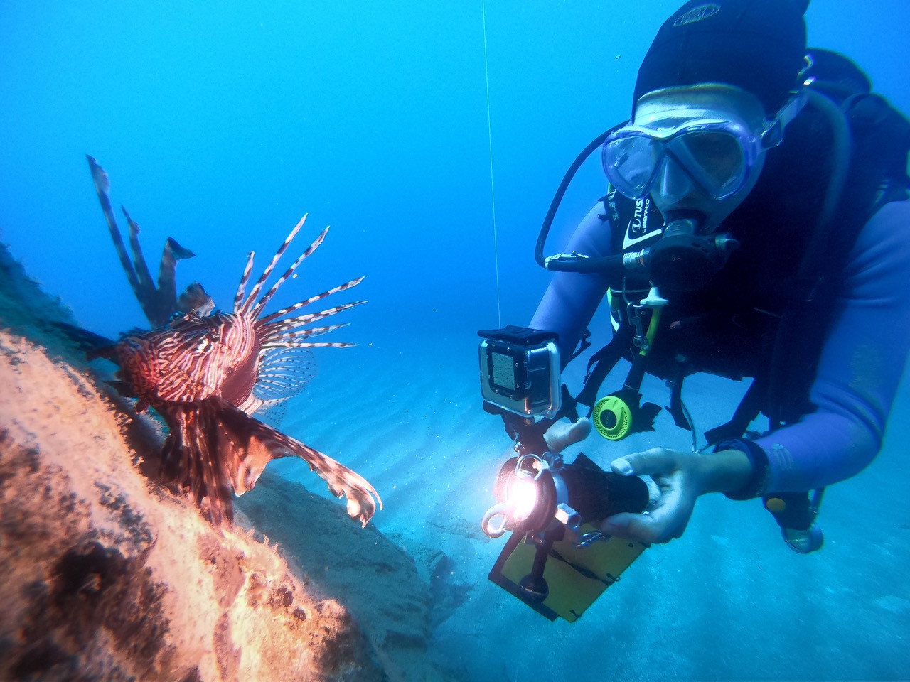インターンシップとしての地中海