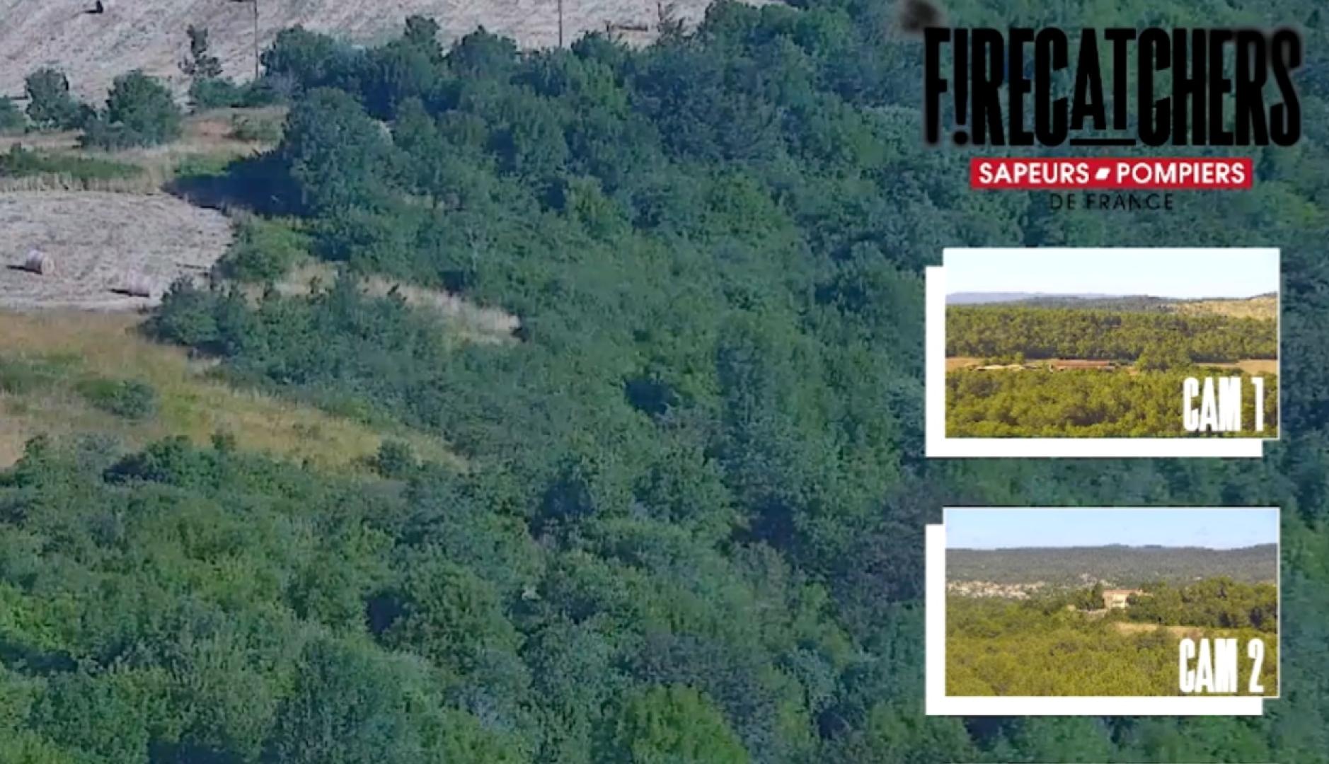 una vista de las camaras forestales en la pantalla de twitch