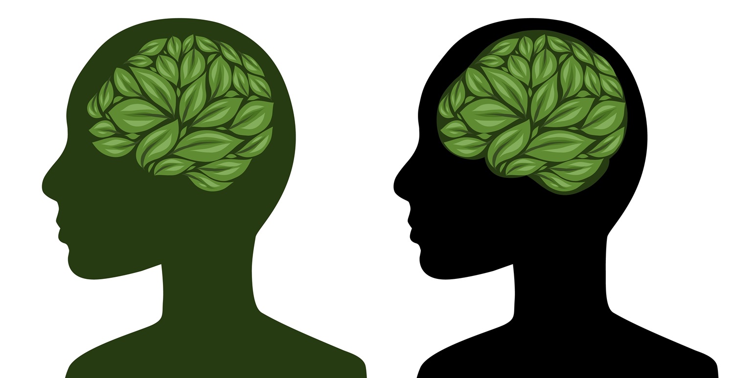 植物は賢いですか？