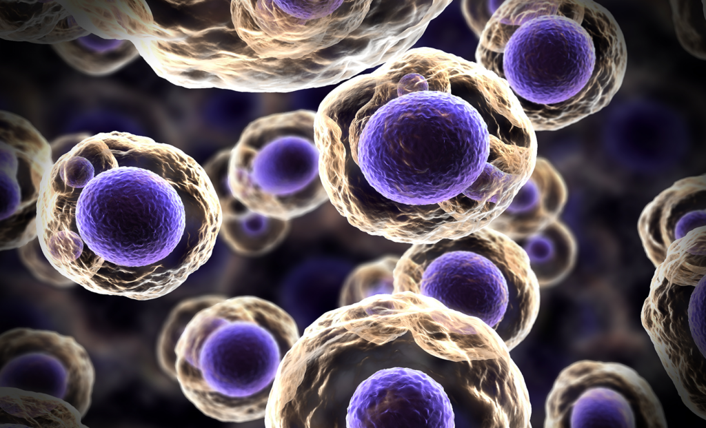 「人生は巧妙に一緒に奇妙です」