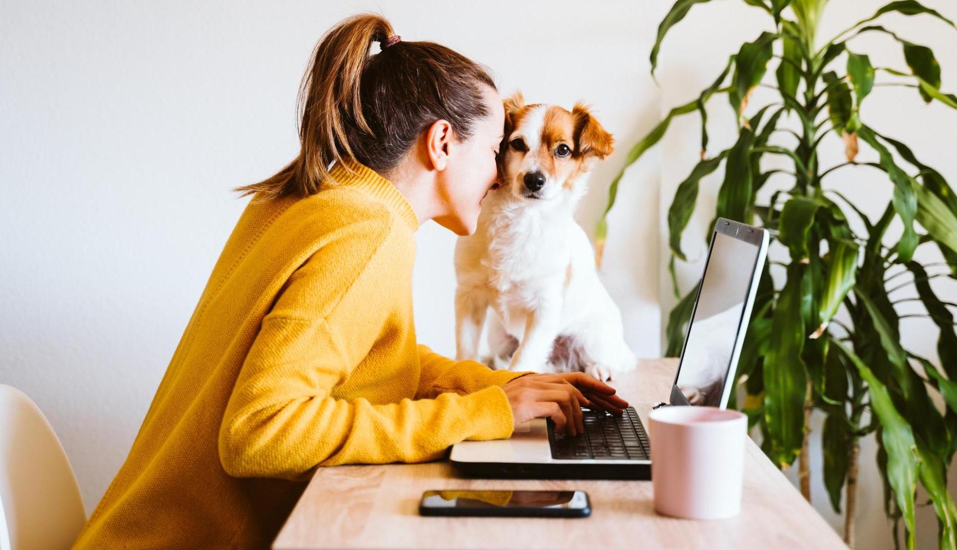 Mujer trabajando junto a su perro