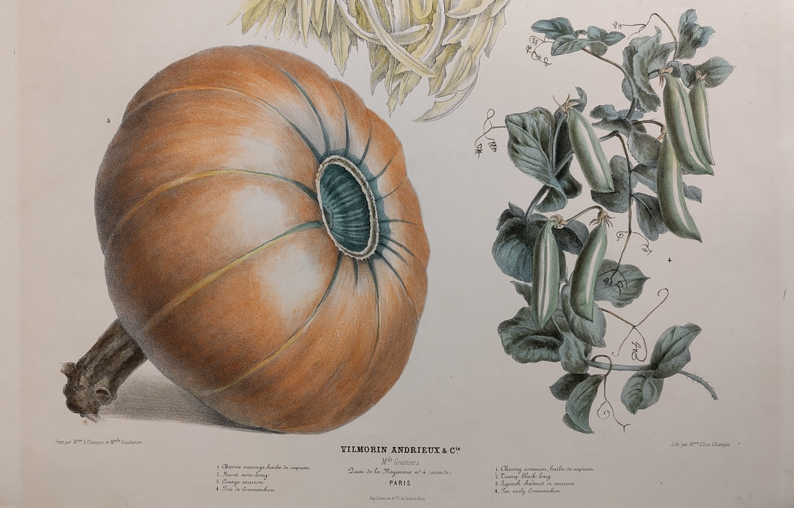 割り当てとして遺伝子を収集します