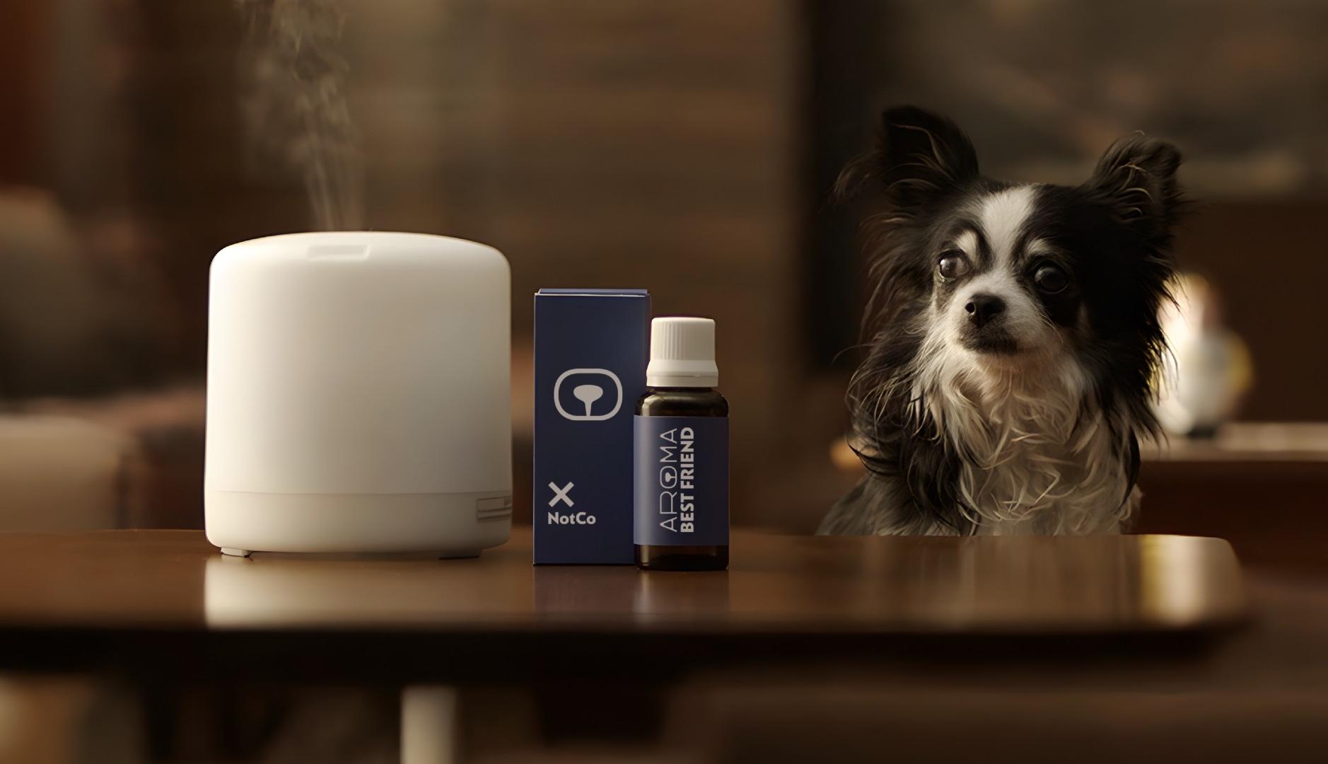 Un perro junto a un difusor de aromas