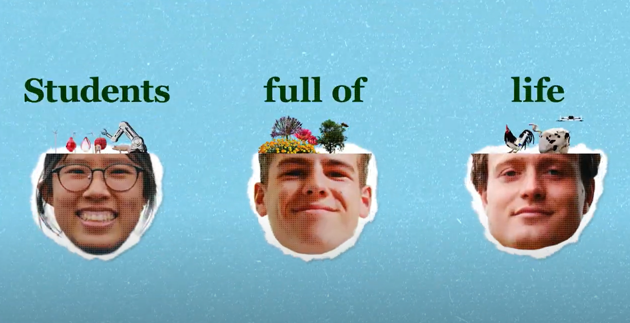 Wurは映画館に入ります