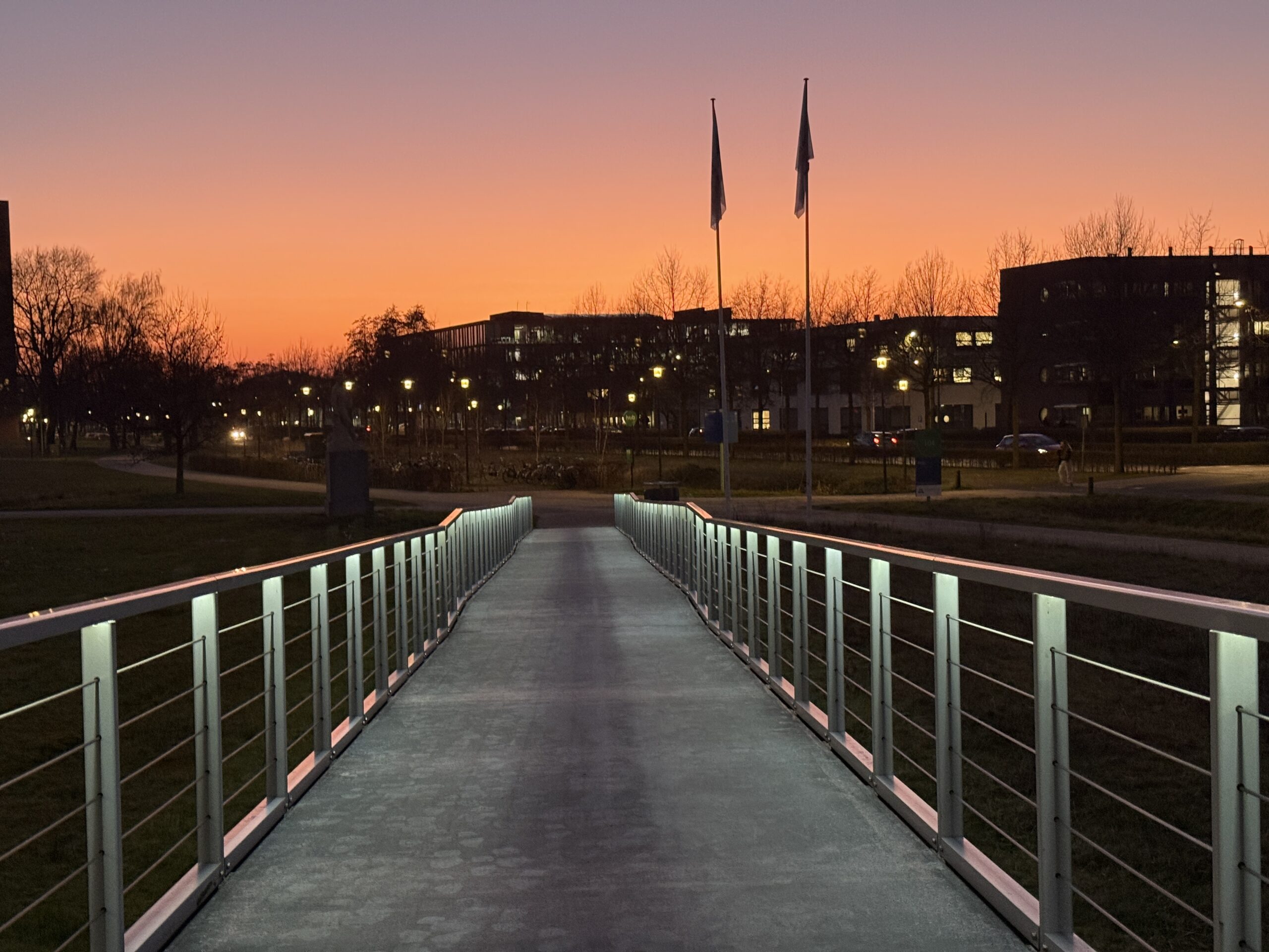 ストリート脅迫アジアの学生は再び燃え上がります