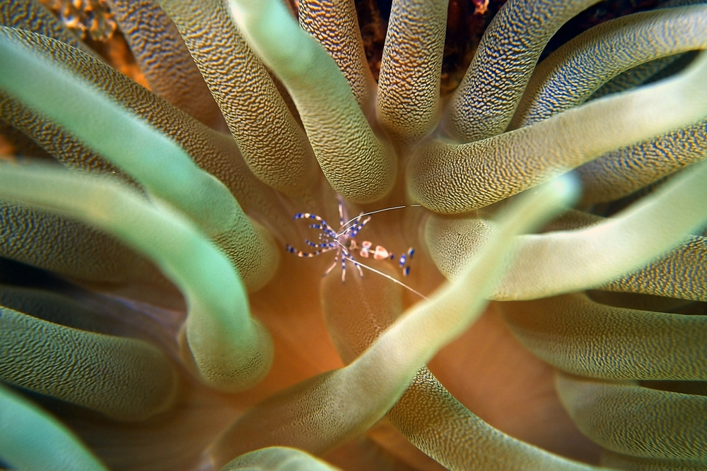 ビジョン: すべての WUR 科学者は生物多様性にもっと注意を払わなければなりません