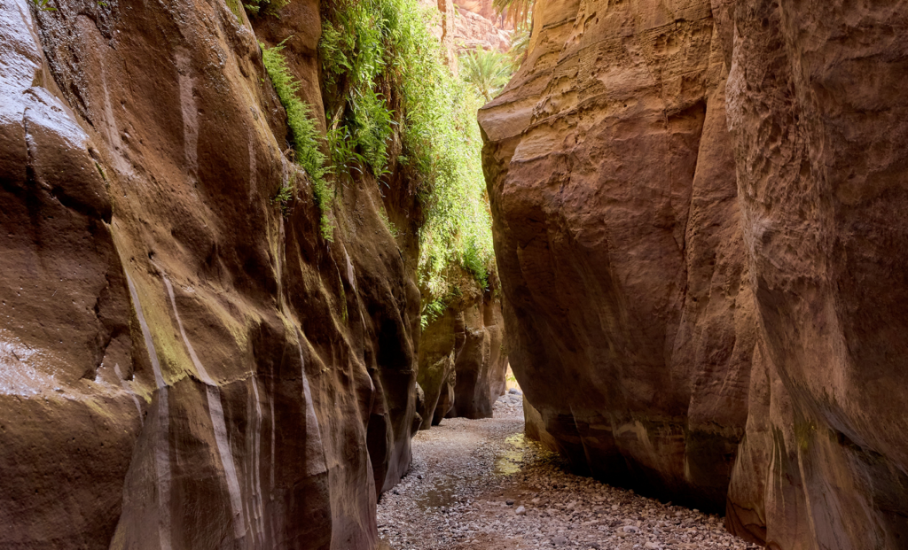 デ・ノイス氏：賃金格差の中で農業を試行する