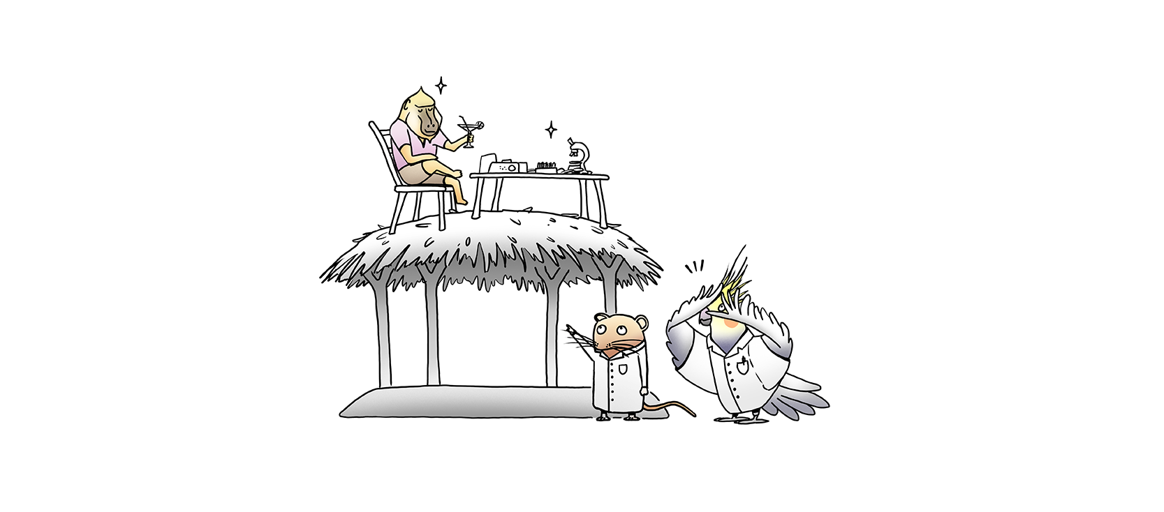 失敗と立ち上がり – ドラ・スハウテン