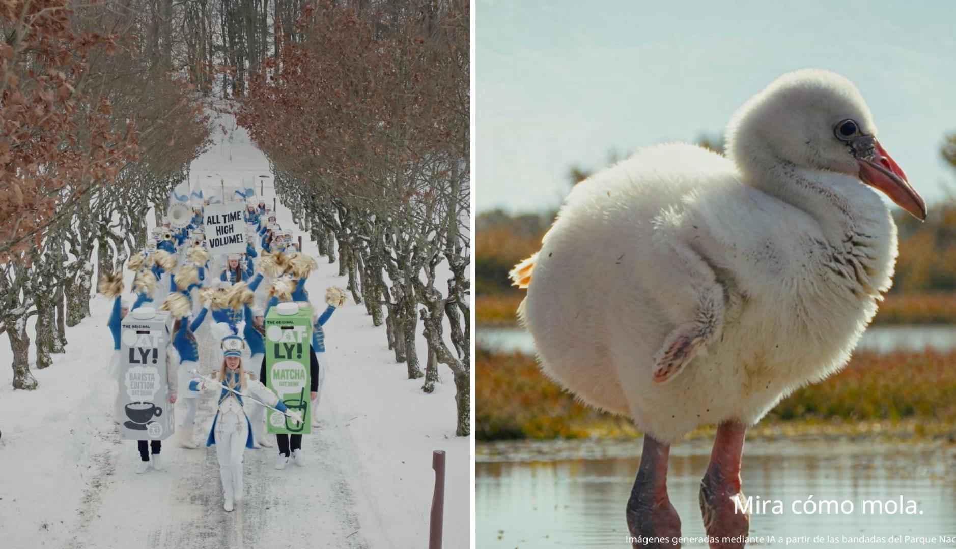 ドニャーナの音楽バンドとフラメンコ: これがオートリーとイケアの財務結果の伝え方です