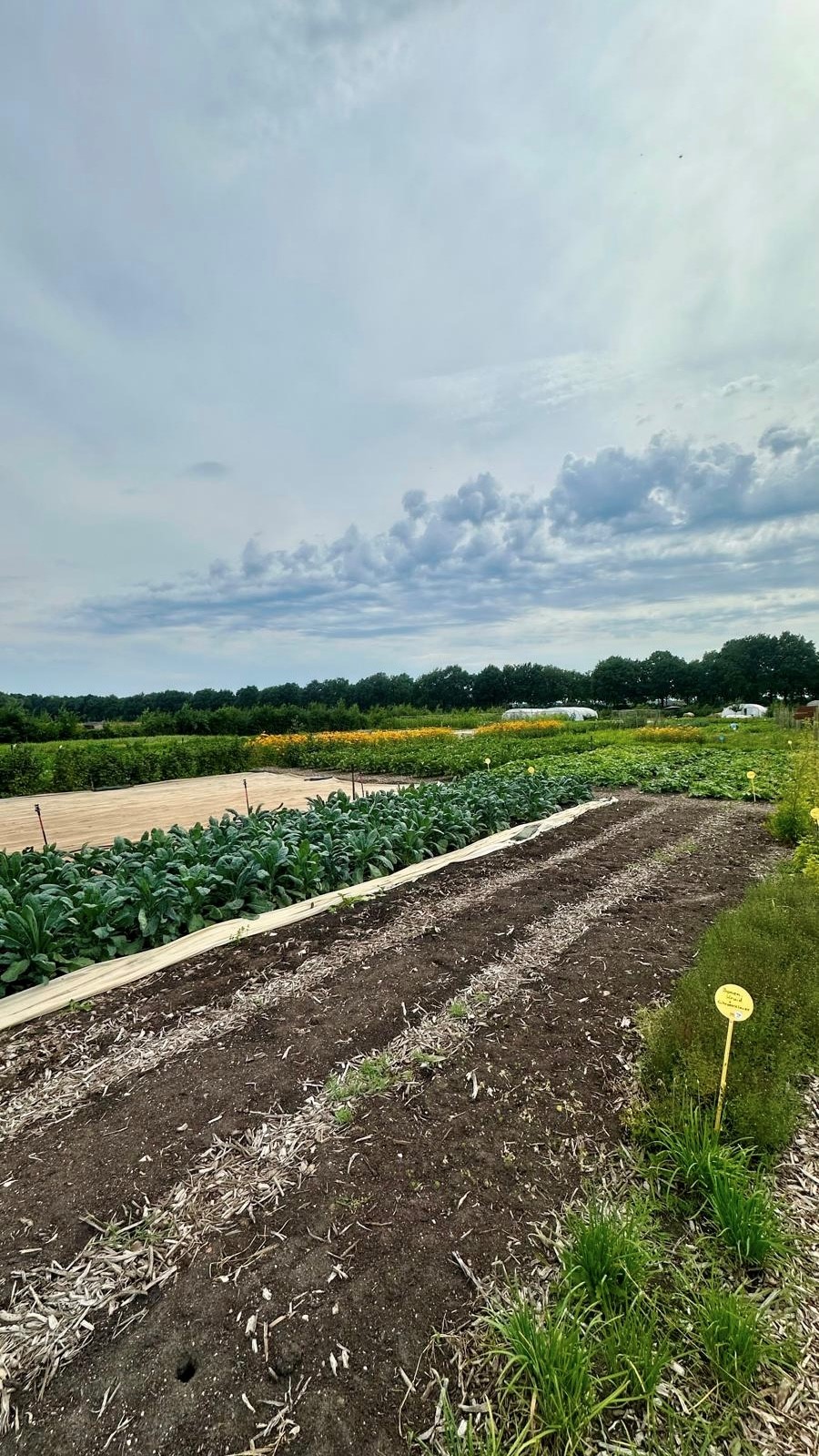 消費について哲学する