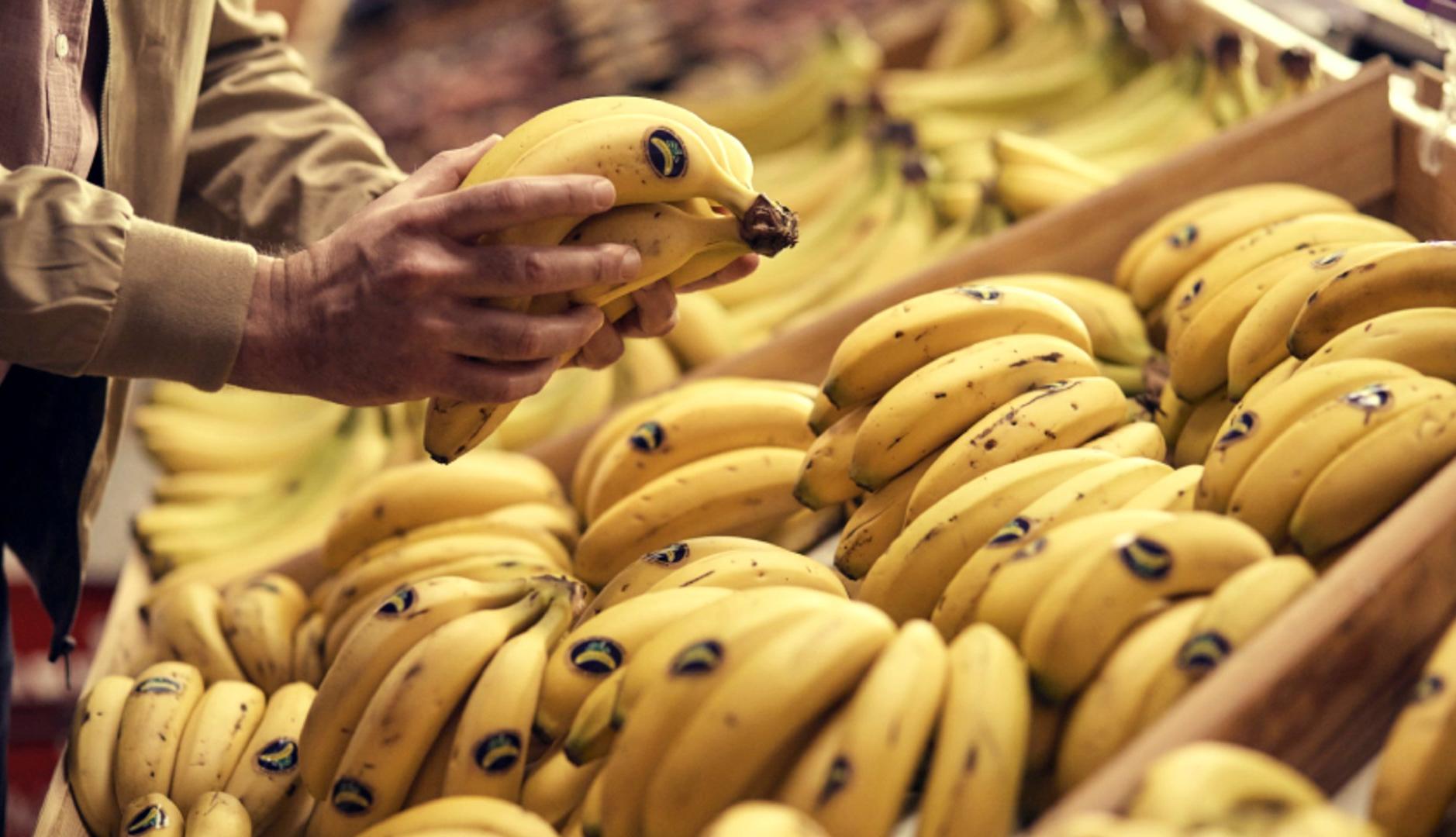 私たちの味: プラタノ デ カナリアス ブランドを築き上げた 50 年間