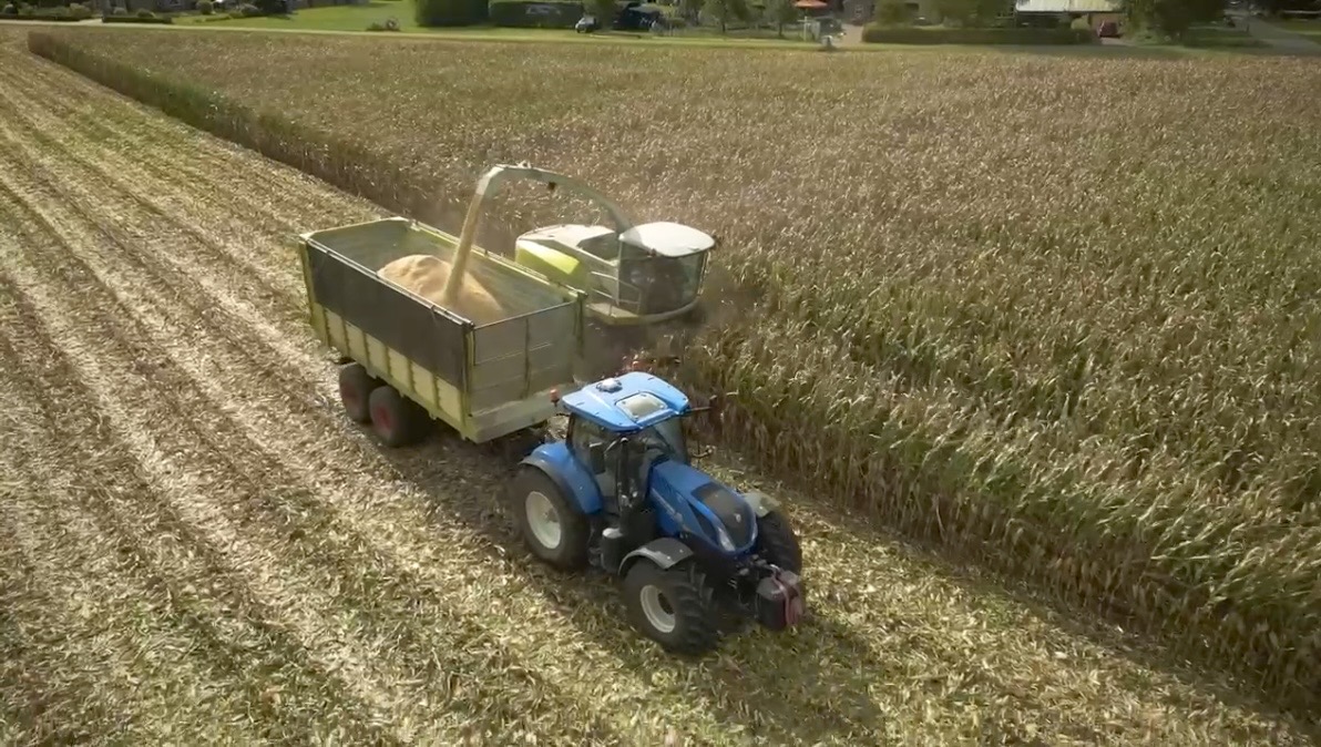 粘土添加により収量が増加