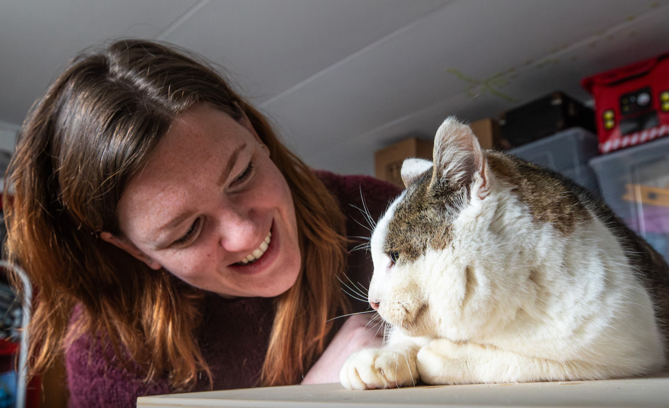行方不明の猫、13年ぶりに学生寮に現れる