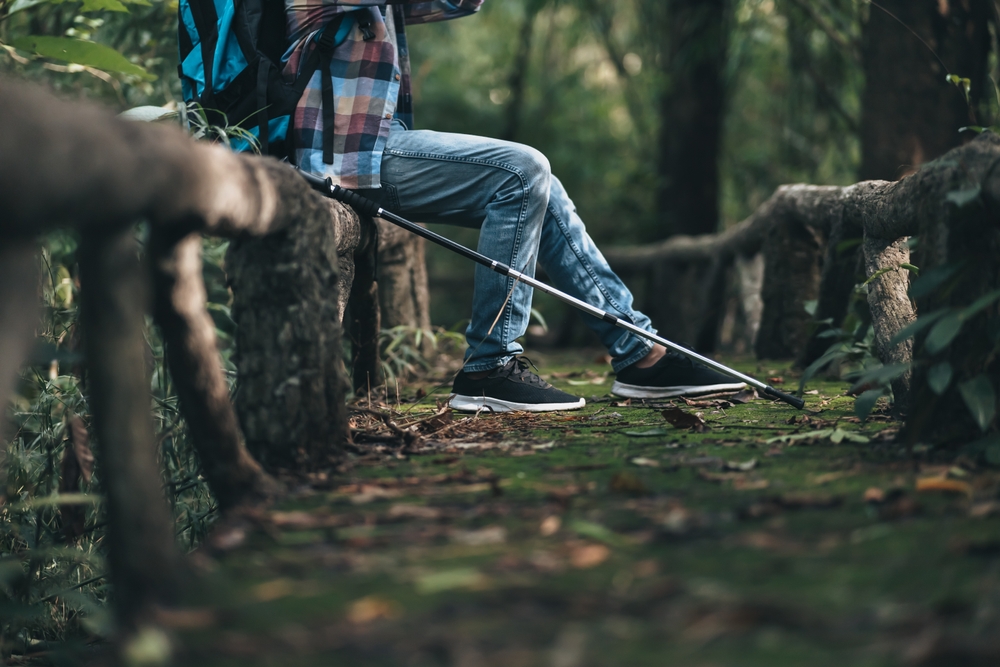 新しい修士課程の主題は「レガシー」をアンカーする マタイス・スハウテン