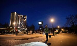 「カエルは私の一番好きな動物です」