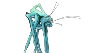 メーゲンスの美しい自然