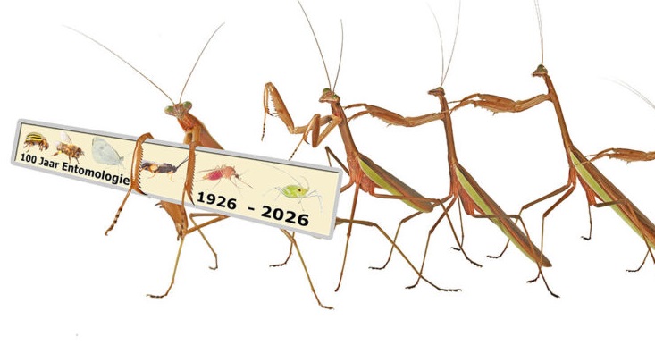 興味のある生き物