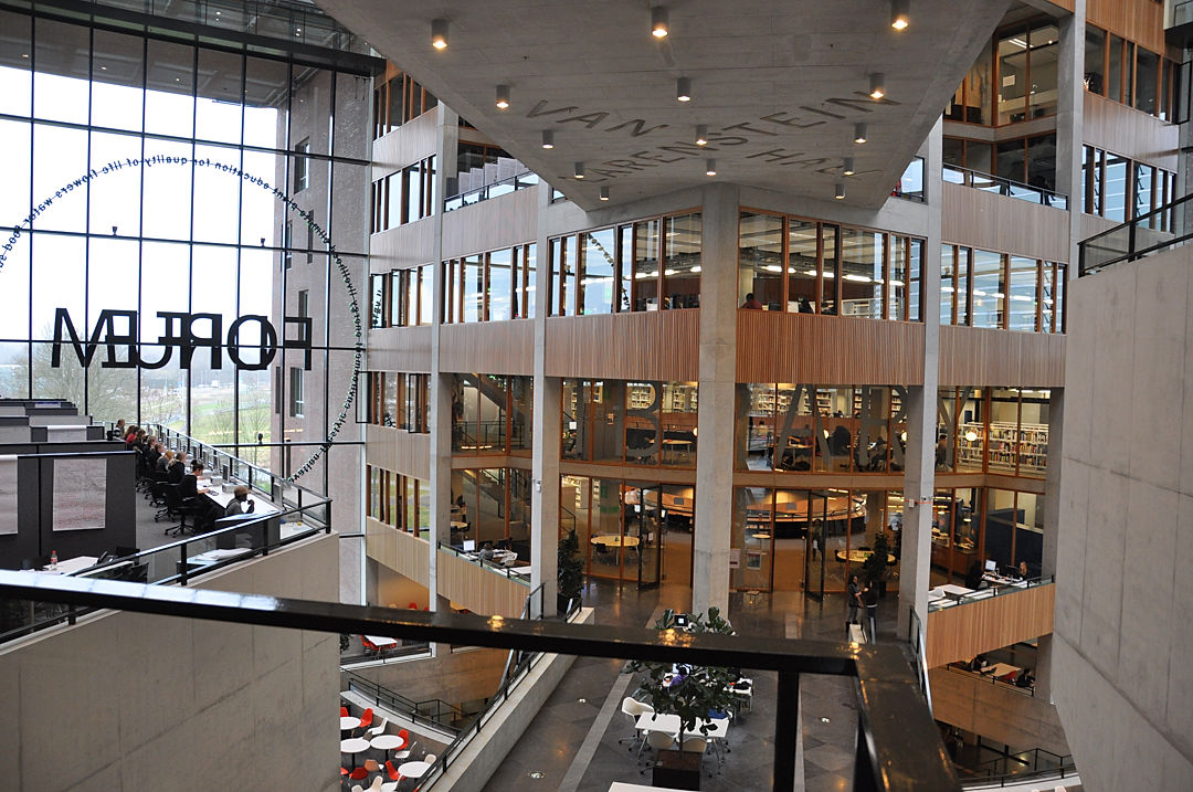 拘束力のある学習アドバイスには主に欠点がある