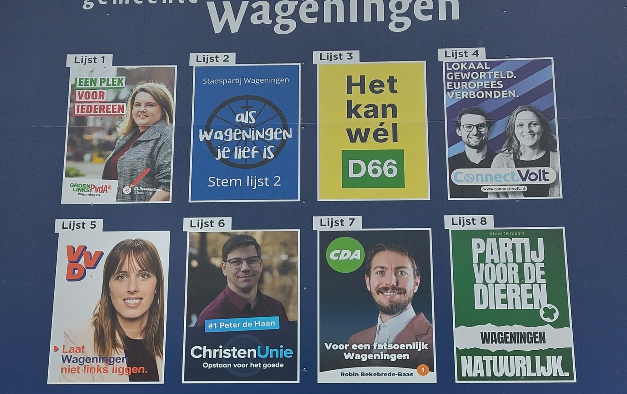 緑はパーティープログラムで高いスコアを獲得