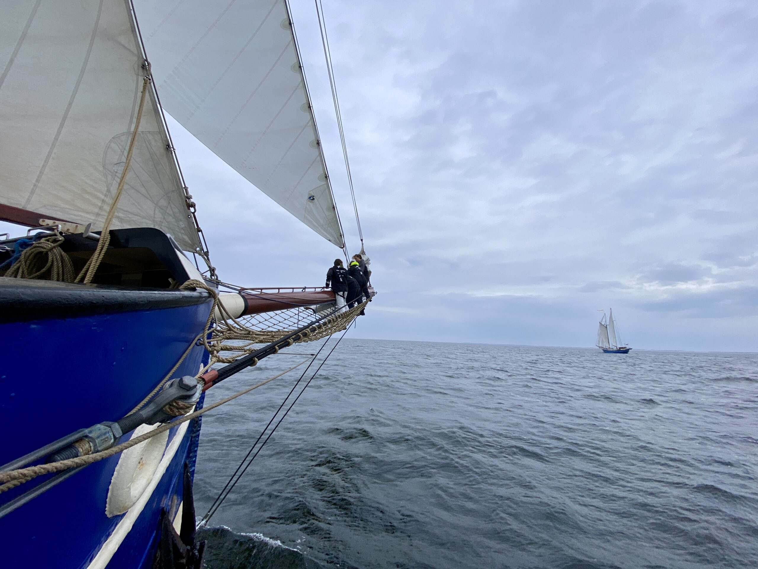 WUR の学生がクラシックセーリングを行う