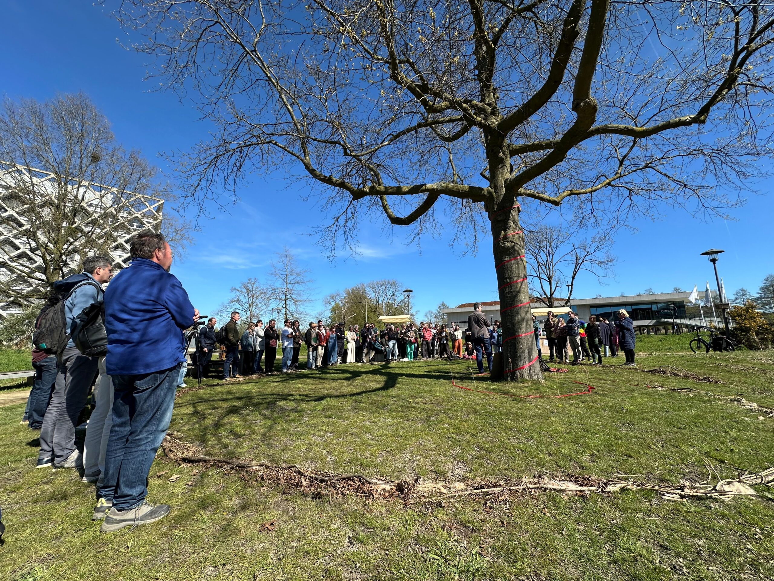 外に出ましょう