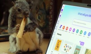 Canva はリスを文化運動に変え、アイデアの力を取り戻します