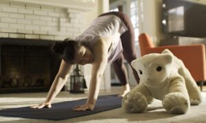 ルンバドライバーが「おなじみ」をプレゼント、 "おなじみ"、感情的な対話のためのロボット