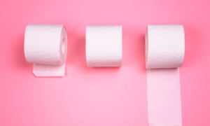 (De Neus) 持続可能なトイレット ペーパー ホルダーのユーザーごとのシート数